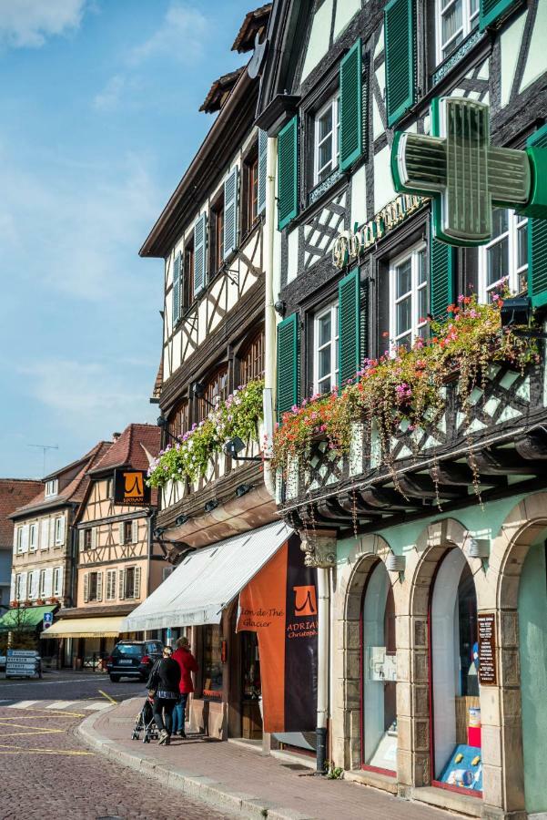 La Fontaine Sainte Odile Apartment Obernai Luaran gambar