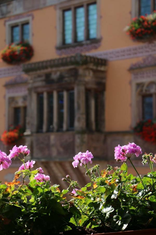La Fontaine Sainte Odile Apartment Obernai Luaran gambar